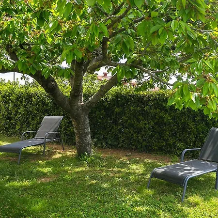 Elvira - Smokva - A48572 Appartement Medulin