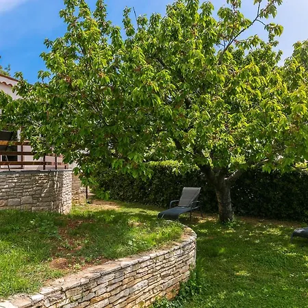 Appartement Elvira - Smokva - A48572
